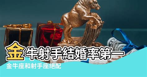 金牛射手配對